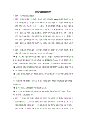 特急项目管理程序.docx