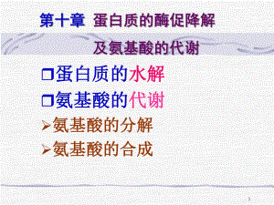 第10章蛋白质水解及氨基酸代谢.ppt