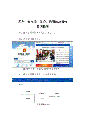 黑龙江省市场主体公共信用信息报告查询指南.docx