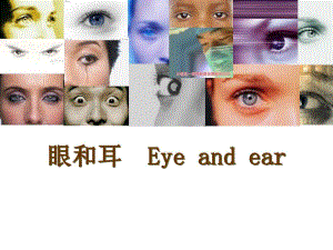 第09章眼和耳.ppt