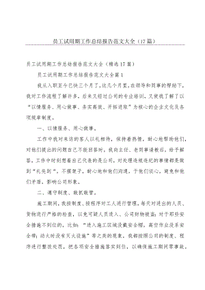 员工试用期工作总结报告范文大全（17篇）.docx