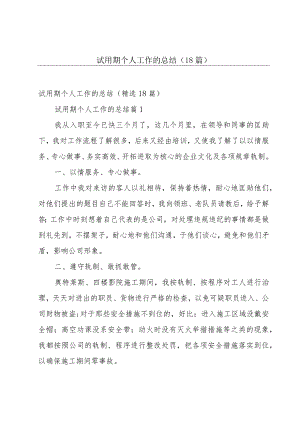 试用期个人工作的总结（18篇）.docx