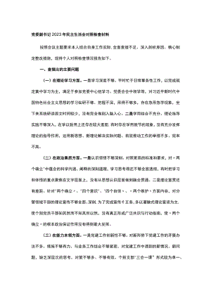 党委副书记2023年民主生活会对照检查材料.docx
