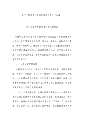 关于主题教育自查自纠情况的报告(二篇).docx