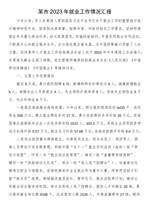 某市2023年就业工作情况汇报.docx