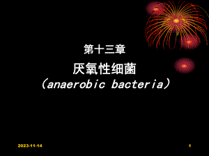 第13章厌氧性细菌.ppt