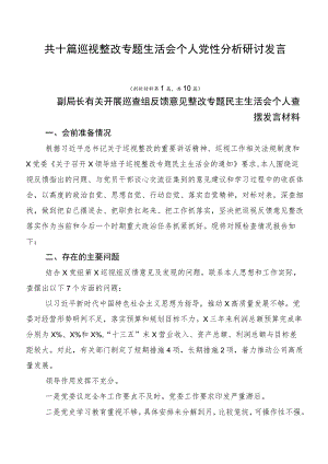 共十篇巡视整改专题生活会个人党性分析研讨发言.docx