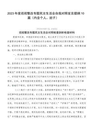 2023年度巡视整改专题民主生活会自我对照发言提纲10篇.docx