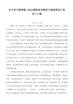 关于学习贯彻第二批主题教育专题学习推进情况汇报共二十篇.docx