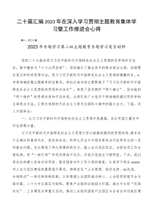 二十篇汇编2023年在深入学习贯彻主题教育集体学习暨工作推进会心得.docx