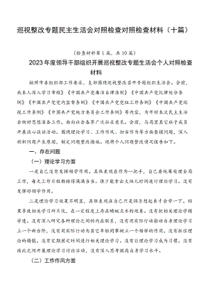 巡视整改专题民主生活会对照检查对照检查材料（十篇）.docx