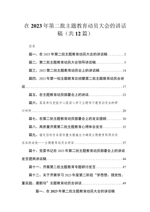 在2023年第二批主题教育动员大会的讲话稿汇编12篇.docx