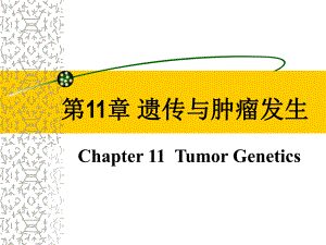 第11部分遗传与肿瘤发生名师编辑PPT课件.ppt