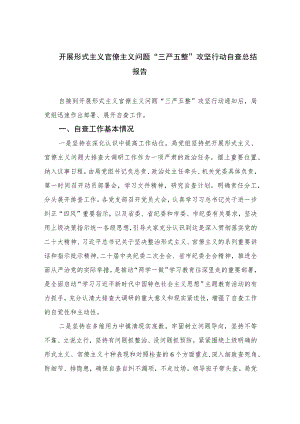 2023开展形式主义官僚主义问题“三严五整”攻坚行动自查总结报告精选10篇.docx