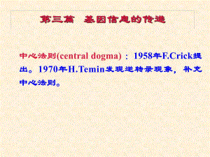第13章 真核基因与基因组.ppt