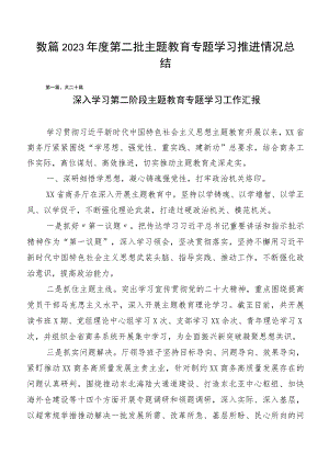 数篇2023年度第二批主题教育专题学习推进情况总结.docx
