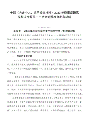 十篇2023年巡视反馈意见整改专题民主生活会对照检查发言材料.docx