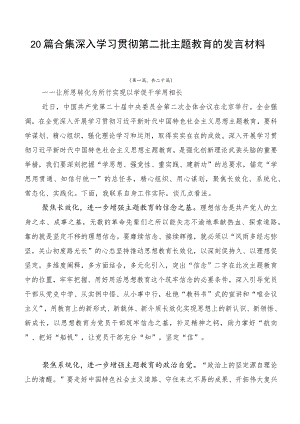 20篇合集深入学习贯彻第二批主题教育的发言材料.docx