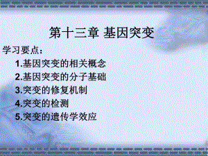 第13章基因突变与DNA损伤修复.ppt