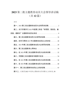 2023第二批主题教育动员大会领导讲话稿（共12篇）汇编.docx