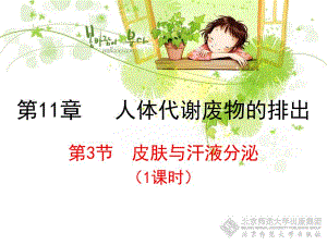 第11章人体代谢废物的排出名师编辑PPT课件.ppt