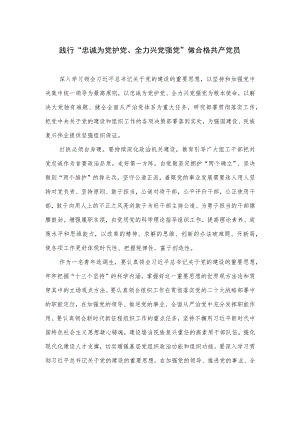 2023践行“忠诚为党护党、全力兴党强党”做合格共产党员最新精选版【10篇】.docx