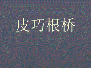 皮巧根桥课件1.ppt