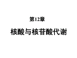第12章核苷酸代谢.ppt