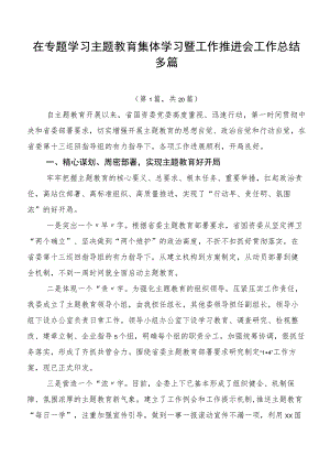 在专题学习主题教育集体学习暨工作推进会工作总结多篇.docx