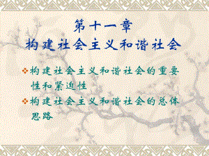 第11章构建社会主义和谐社会名师编辑PPT课件.ppt