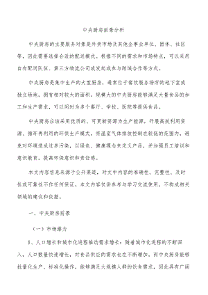 中央厨房前景分析.docx