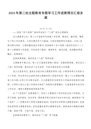 2023年第二批主题教育专题学习工作进展情况汇报多篇.docx