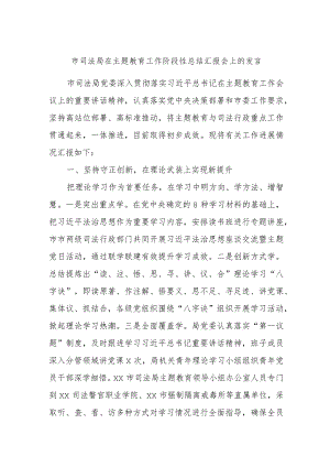 市司法局在主题教育工作阶段性总结汇报会上的发言.docx