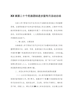 XX镇第二十个民族团结进步宣传月活动总结.docx