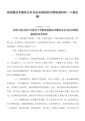 巡视整改专题民主生活会自我剖析对照检查材料（十篇合集）.docx