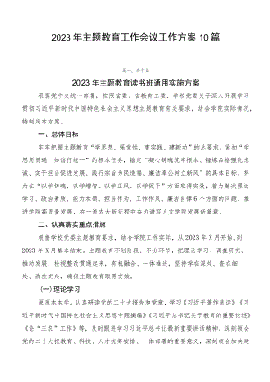 2023年主题教育工作会议工作方案10篇.docx
