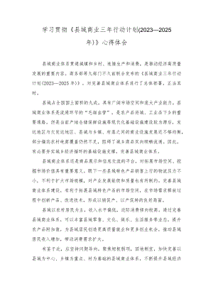 2023年学习《县域商业三年行动计划（2023—2025年）》心得体会.docx