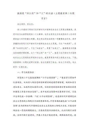 搞清楚“所以然”和“义”的内涵（主题教育第二专题发言）.docx