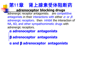 第11章肾上腺素受体阻断药.ppt