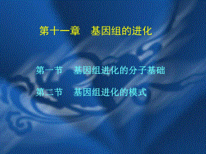 第11章基因组的进化.ppt