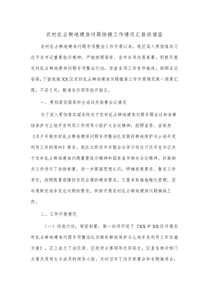 农村乱占耕地建房问题排摸工作情况汇报供借鉴.docx