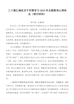 二十篇汇编在关于开展学习2023年主题教育心得体会（研讨材料）.docx