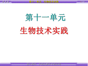 第11单元第41课时传统发酵技术的应用313.ppt
