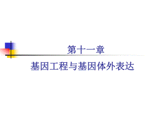 第11章基因工程与体外表达.ppt