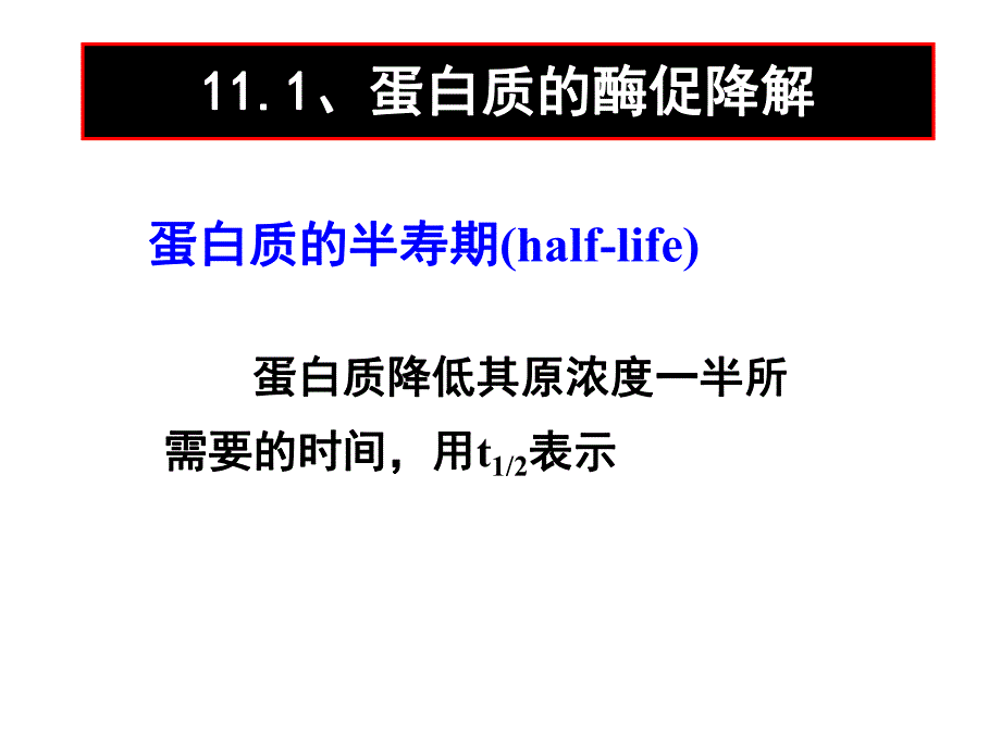 第11章蛋白质降解与氨基酸代谢.ppt_第3页