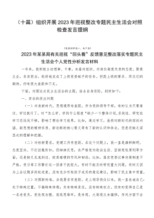 （十篇）组织开展2023年巡视整改专题民主生活会对照检查发言提纲.docx