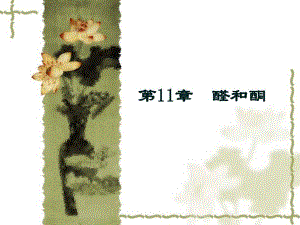 第11章醛和酮.ppt
