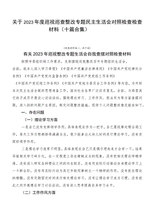 关于2023年度巡视巡查整改专题民主生活会对照检查检查材料（十篇合集）.docx