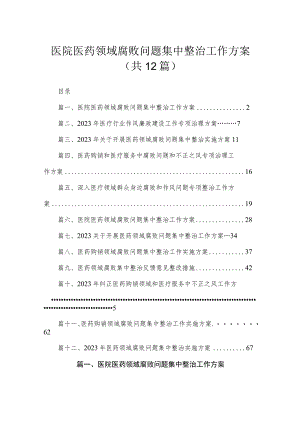2023医院医药领域腐败问题集中整治工作方案【12篇】.docx