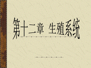 第12章生殖系统.ppt